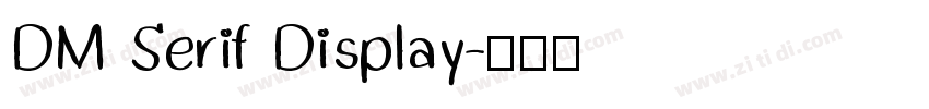 DM Serif Display字体转换